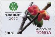 International Year of Plant Health