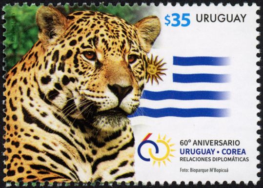 Leopard and Flag of Uruguay