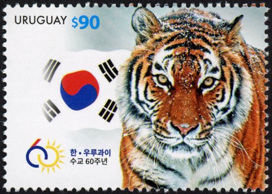 Tiger and Flag of South Korea