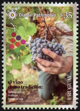 Viticulture in Uruguay, 150 Years