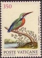 Common Kingfisher (Alcedo atthis)