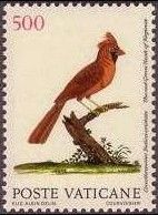 Northern Cardinal (Cardinalis cardinalis)