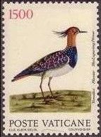 Northern Lapwing (Vanellus vanellus)