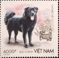 Bắc Hà Breed