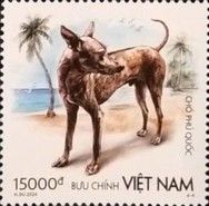 Phú Quốc Breed