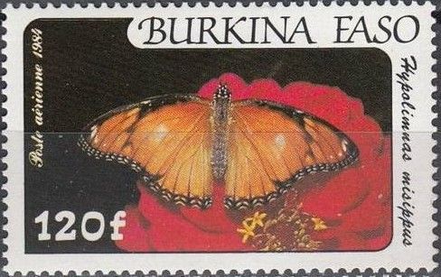 Danaid Eggfly (Hypolimnas misippus)
