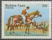 Gauchos, Horses