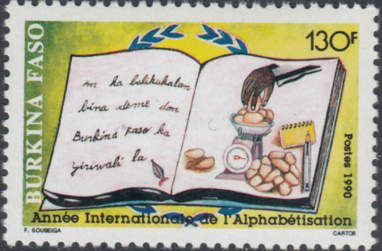 International Literacy Year