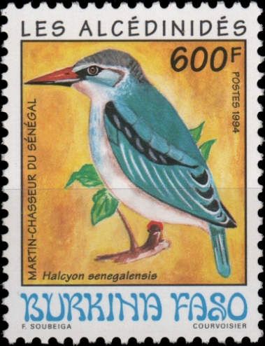 Woodland Kingfisher (Halcyon senegalensis)