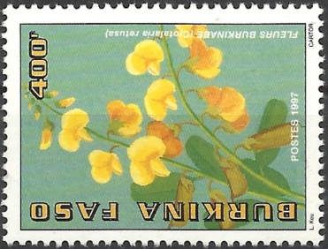 Crotalaria retusa