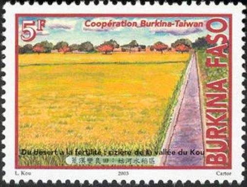 From Desert to Fertility - Rice Field of the Valley of Kou