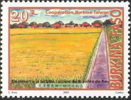 From Desert to Fertility - Rice Field of the Valley of Kou
