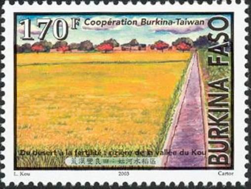 From Desert to Fertility - Rice Field of the Valley of Kou