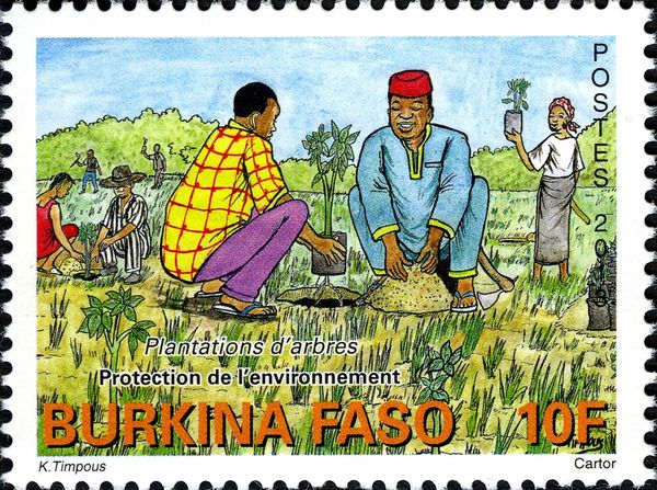 Planting of Trees