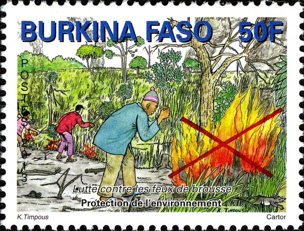 Campaign against Brushfires