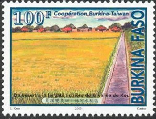From Desert to Fertility - Rice Field of the Valley of Kou