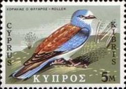 European Roller (Coracias garrulus)