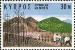 Reforestation