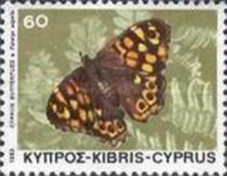 Speckled Wood (Pararge aegeria)