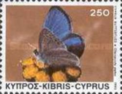 Paphos Blue Butterfly (Glaucopsyche paphos)