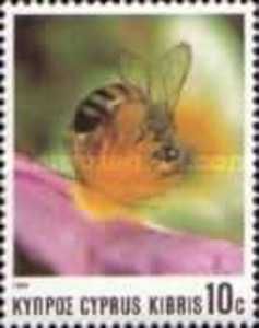European Honey Bee (Apis mellifica)