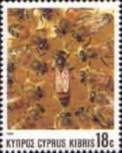 European Honey Bee (Apis mellifica)