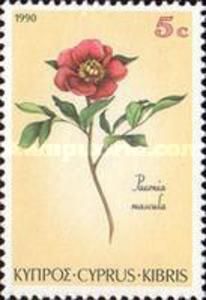 Paeonia mascula - Wild Peony
