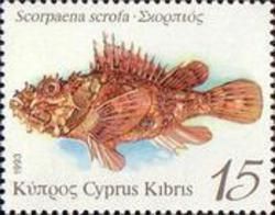 Red Scorpionfish (Scorpaena scrofa)
