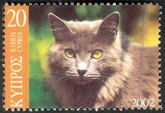Domestic Cat (Felis silvestris catus)