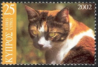 Domestic Cat (Felis silvestris catus)
