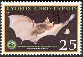Mediterranean Horseshoe Bat (Rhinolophus euryale)