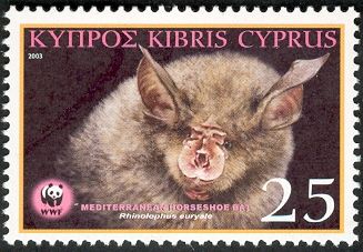 Mediterranean Horseshoe Bat (Rhinolophus euryale)