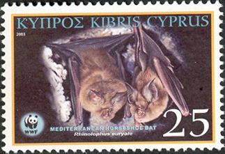 Mediterranean Horseshoe Bat (Rhinolophus euryale)
