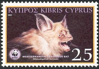 Mediterranean Horseshoe Bat (Rhinolophus euryale)