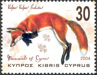 Red Fox (Vulpes vulpes ssp. indutus)