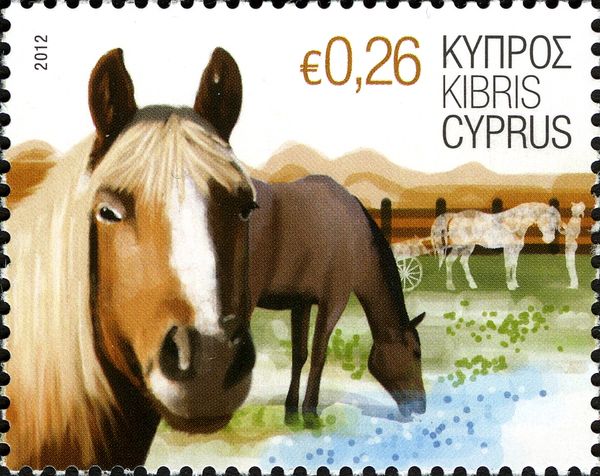 Cold-blooded Horse (Equus ferus caballus)