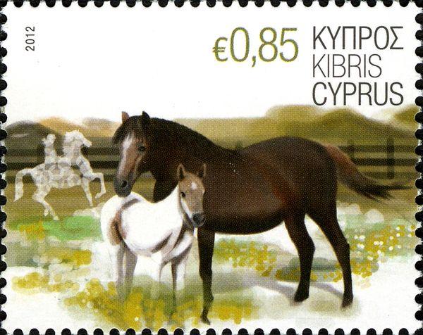 Horses (Equus ferus caballus)