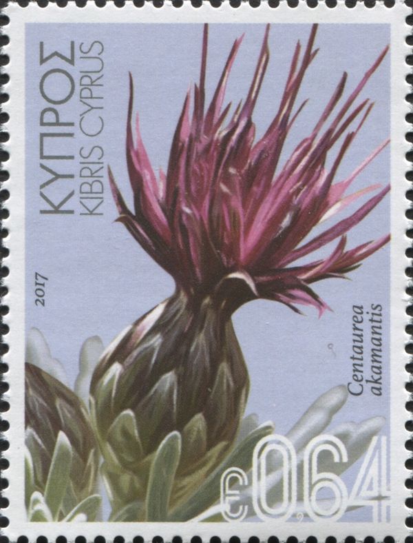 Centaurea akamantis