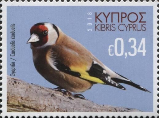 European Goldfinch (Carduelis carduelis)