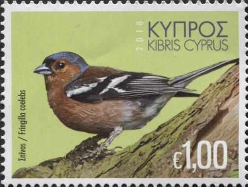 Common Chaffinch (Fringilla coelebs)