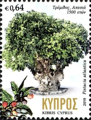 Terebinth Tree in Apesia, 1500 years old