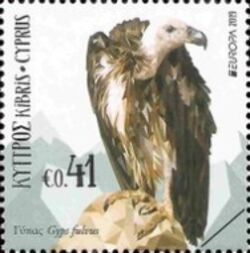 Griffon Vulture (Gyps fulvus)