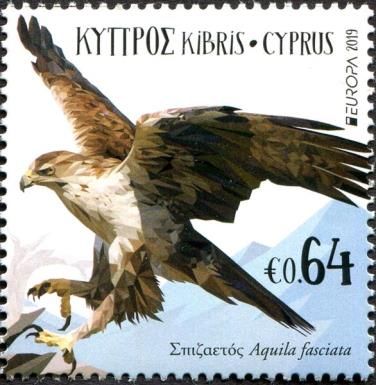 Bonelli's Eagle (Aquila fasciata)