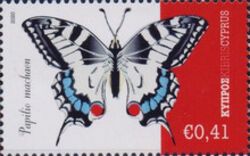 Papilio machaon giganteus