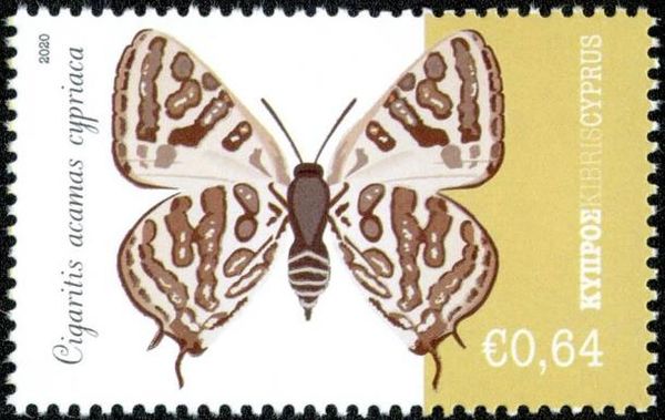 Cigaritis acamas cypriaca