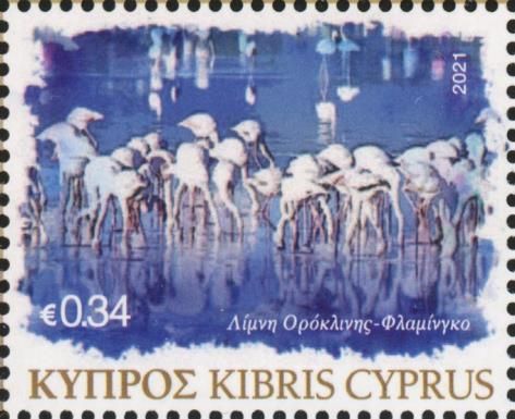 Flamingos, Lake Oroklini