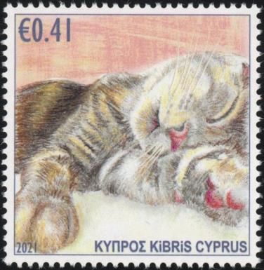 Cat (Felis catus)