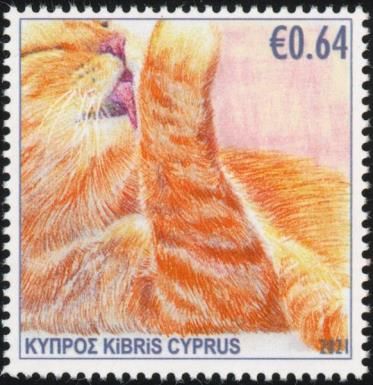 Cat (Felis catus)