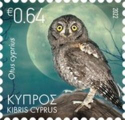 Cyprus Scops-Owl (Otus cyprius)