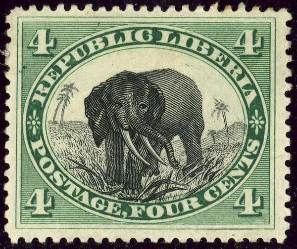 African Elephant (Loxodonta africana)